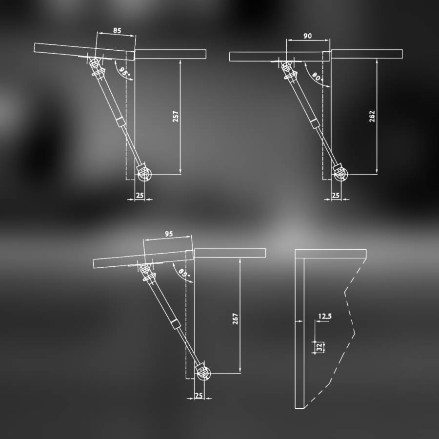 фото Газлифт FGV на 8 кг Aerolift с доводчиком